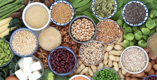 Plant Based Proteins: from ‘eh’ to ‘ah-mazing’
